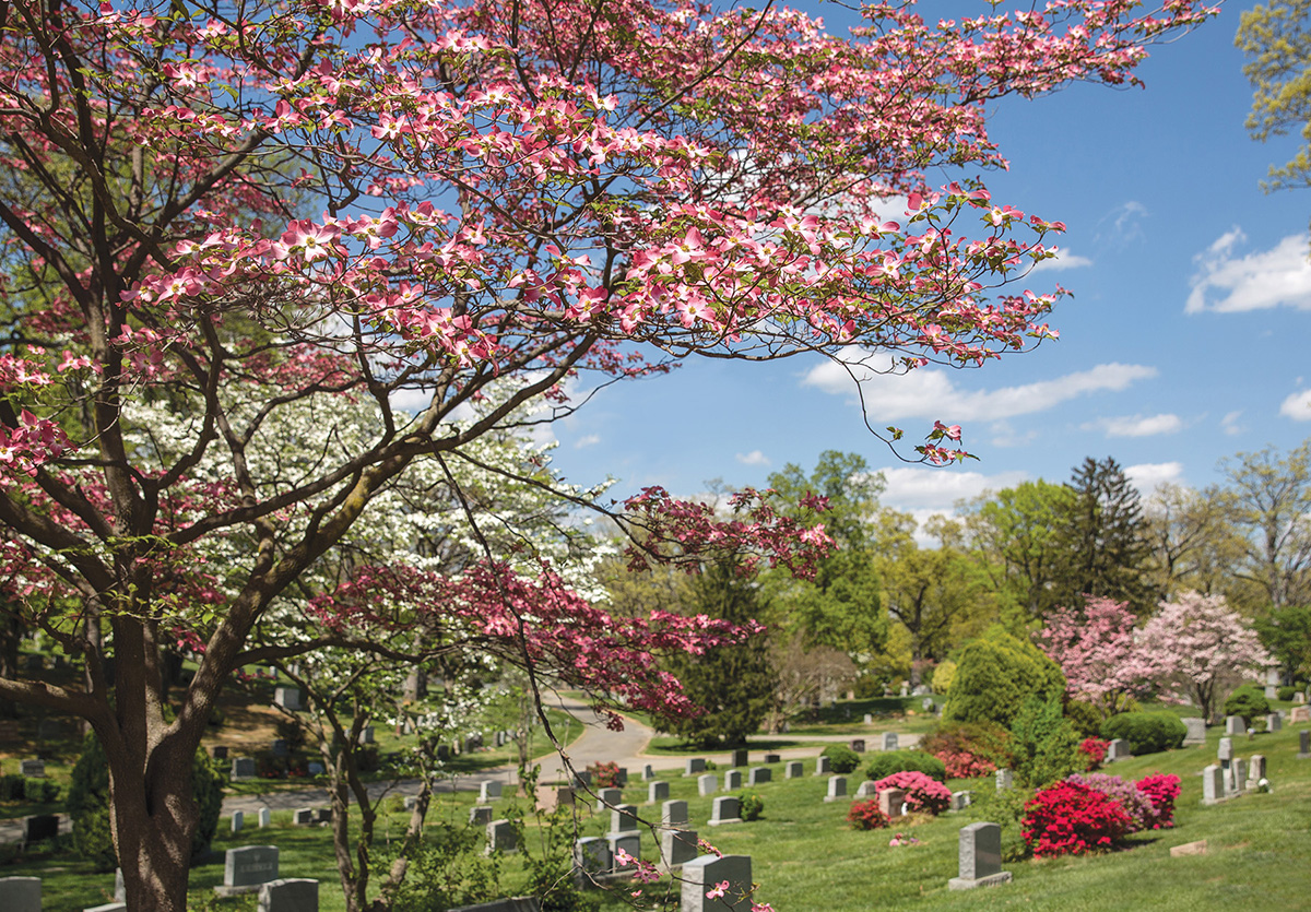 Cemetery